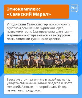 Иллюстрация 2