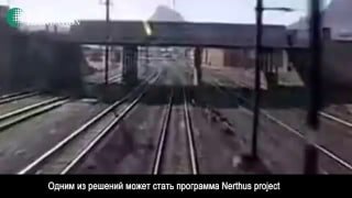 В 1980-х Фонд Рокфеллера предлагал африканцам жилье и воду в обмен на стерилизацию