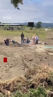 В приюте для собак в Калифорнии нашли более ста мертвых животных