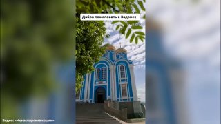 Администрация ТЦ в Воронеже выгнала монахиню-волонтёра, раздававшую котят