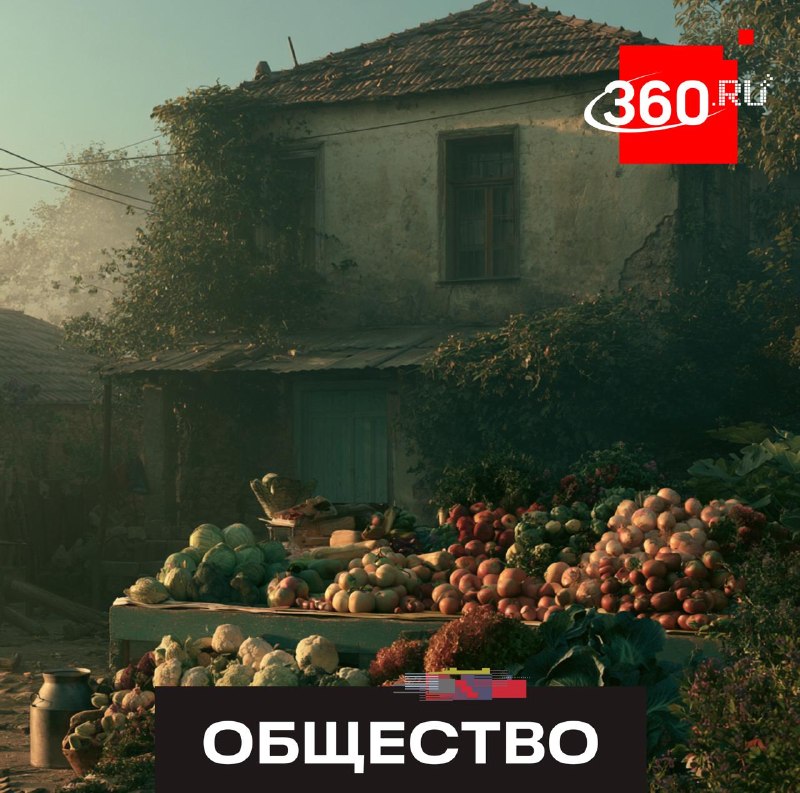 Юрист разъяснил правила легальной продажи излишков урожая с личных участков