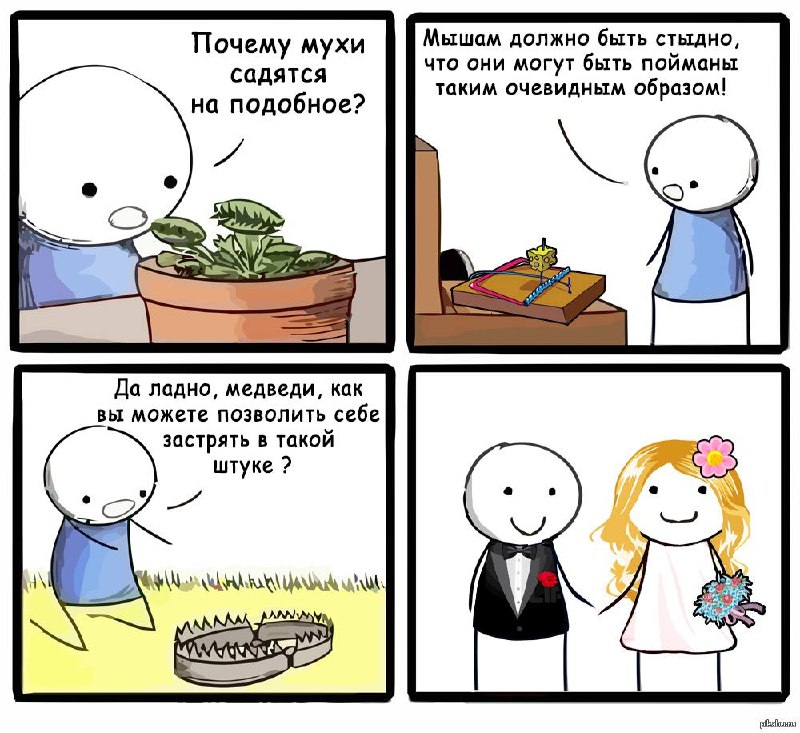 Учёные обнаружили, что люди склонны выбирать партнёров со схожими психологическими типажами