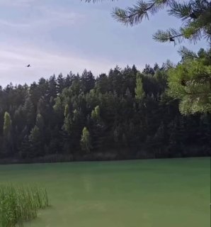 Стихийные пляжи в Белоруссии патрулируют дроны