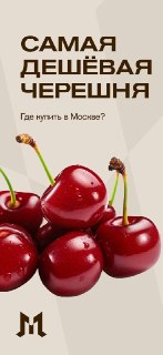 В Москве отмечается День черешни