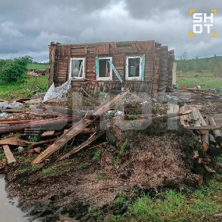 Унесённая ураганом собака из Свердловской области самостоятельно вернулась в разрушенный дом