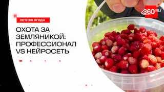 ИИ сразится с экспертом в сборе земляники