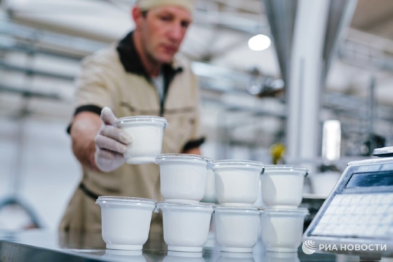 Роскачество объяснило, как отличить натуральный йогурт от йогуртного продукта