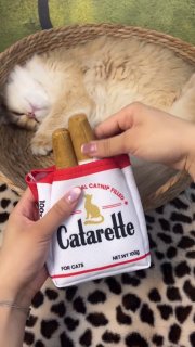 В сети нашли сигареты с кошачьей мятой для кошек