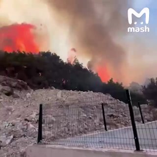 В турецком Измире бушует мощный лесной пожар