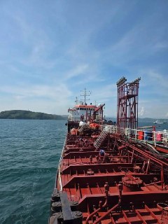 В России в полную силу заработал единый морской оператор, созданный по поручению Владимира Путина