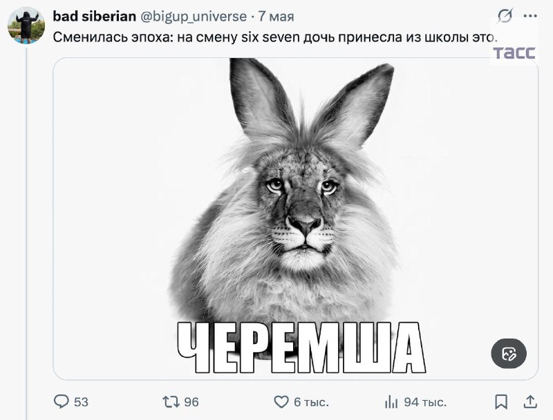 Минпросвещения признало мем «Черемша» безопасным