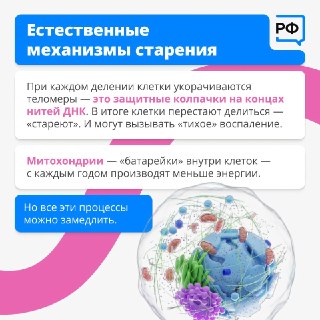 Иллюстрация 4