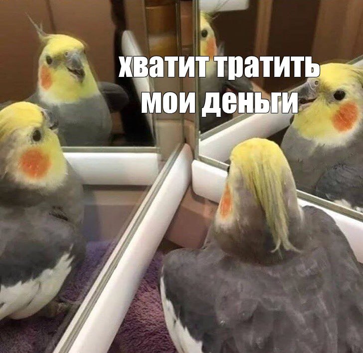 Как накопить на черный день?