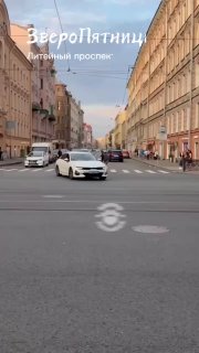 В центре Петербурга петербуржец помог птенцу чайки, остановив движение