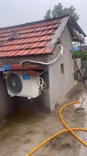 Китайские пользователи соцсетей троллят европейцев видео с охлаждением свиней кондиционерами