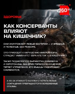 Иллюстрация 2