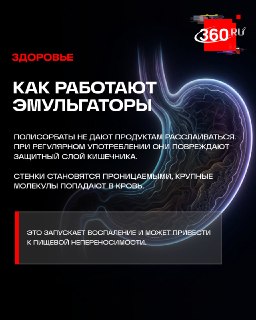 Иллюстрация 5