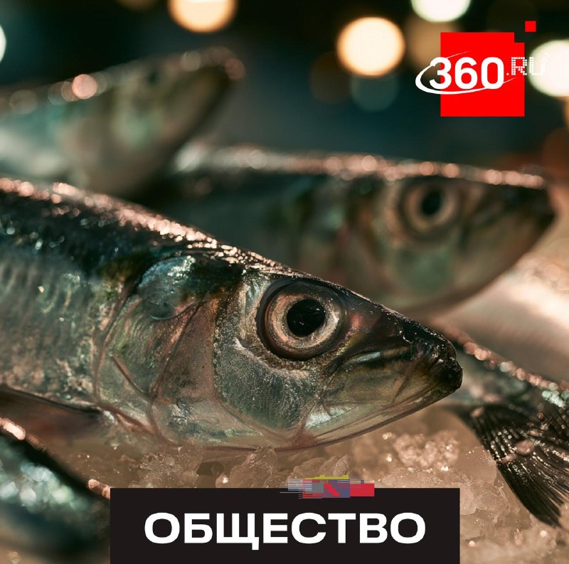 Российская сельдь заняла 93% внутреннего рынка, вытеснив импорт