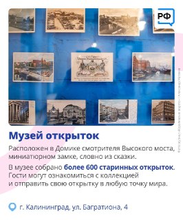 Иллюстрация 7