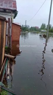Иллюстрация 1