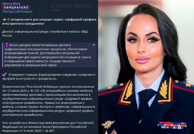 В России запустили сервис «Цифровой профиль иностранного гражданина»