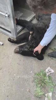 Иллюстрация 1