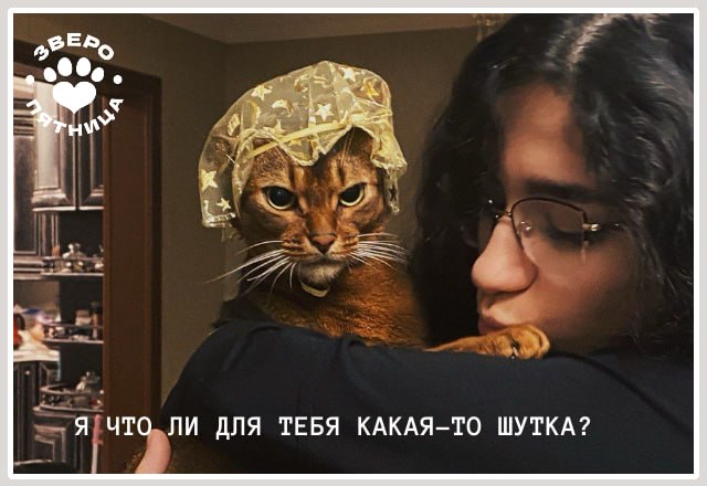 Международный день шутки отмечается 1 июля