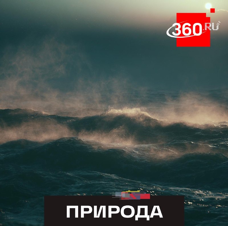 Мировой океан установил температурный рекорд в июне