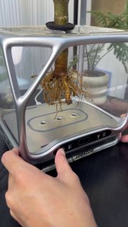 Представлена компактная аэропонная система для выращивания растений без почвы