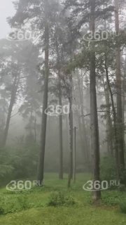 Иллюстрация 1