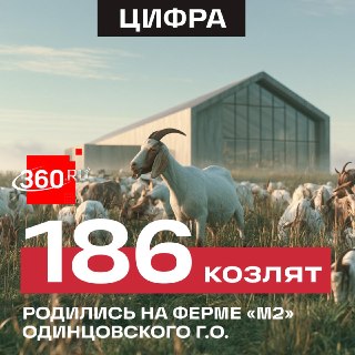 В Подмосковье пополнилось стадо молочных коз на ферме «М2»