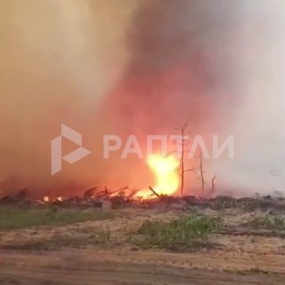 В Чернобыле десятый день бушуют пожары