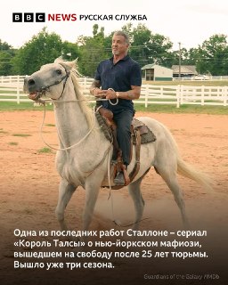 Иллюстрация 8