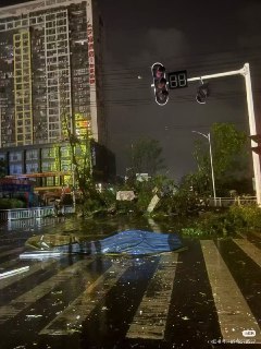 Иллюстрация 8