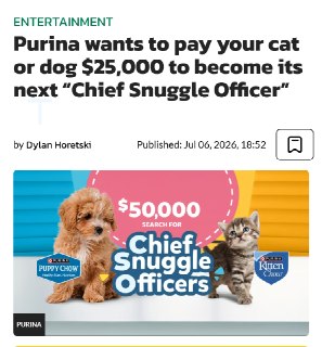 Purina ищет щенков и котят на должность «главного специалиста по объятиям» за $25 000