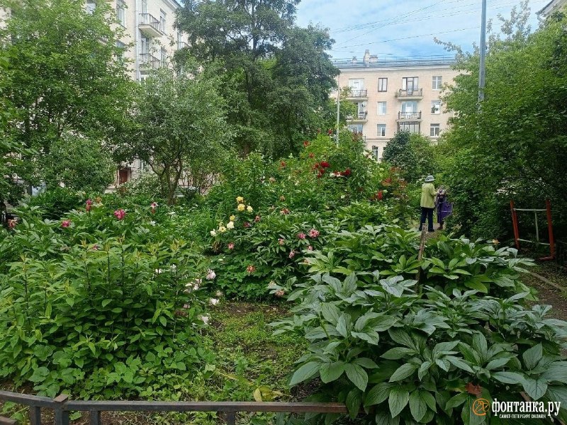 Иллюстрация 4