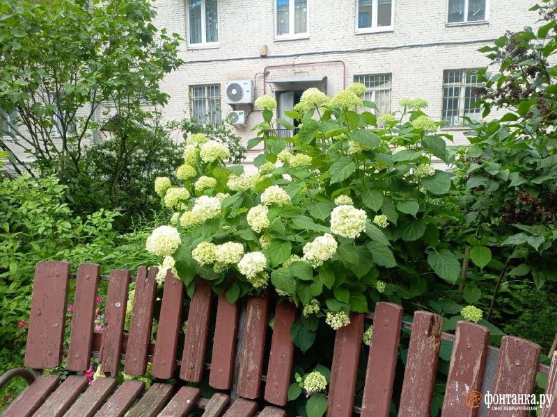 Иллюстрация 5