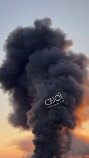 Иллюстрация 1