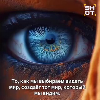 Иллюстрация 1
