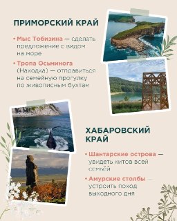 Иллюстрация 2