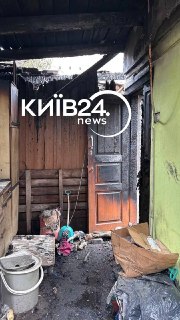 Иллюстрация 5