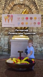Иллюстрация 1