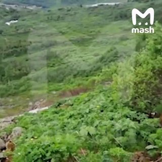 В Кузбассе турист нашёл фотоаппарат с фотографиями 13-летней давности и вернул его владельцу
