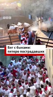 В Памплоне начался фестиваль Сан-Фермин: пять человек получили травмы во время забегов с быками