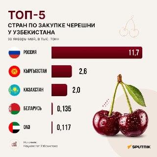 Россия стала главным покупателем узбекской черешни в январе-мае 2026 года