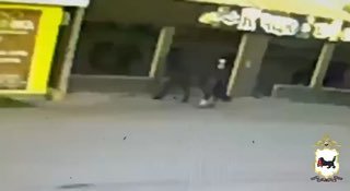 Злодей с копытами