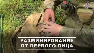 Саперы полка «Севера» обезвредили мину, сброшенную дроном в Харьковской области