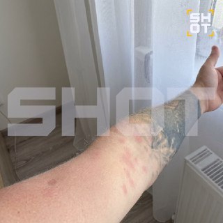 Иллюстрация 2