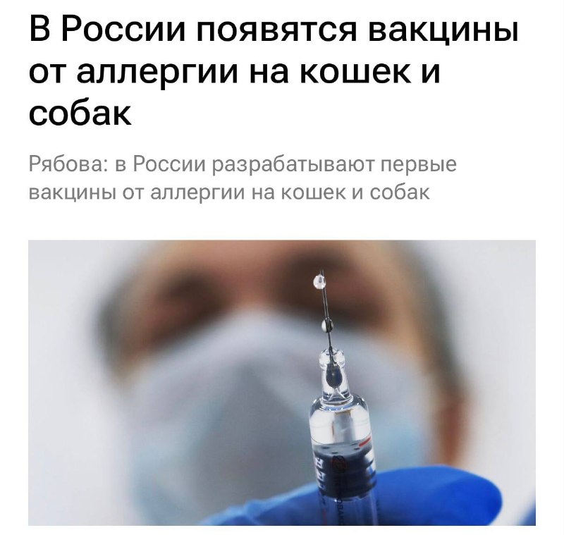 В России разрабатывают вакцины от аллергии на кошек и собак