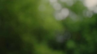 Сбер выпустил ролик ко Дню семьи, любви и верности